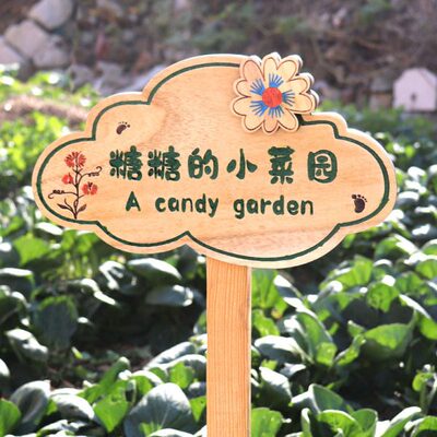 户外菜地花草幼儿园菜园种植花园装饰插地木质提示标识牌木牌定制