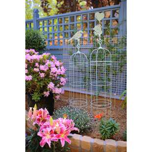 一套铁线莲花架爬藤架铁艺藤本攀爬庭院装饰户外仙子花架花盆支架