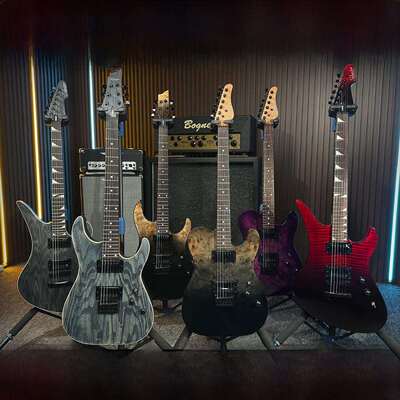 Schecter标准覆仇者/C-1/Pt/Solo-Ii家用电吉他