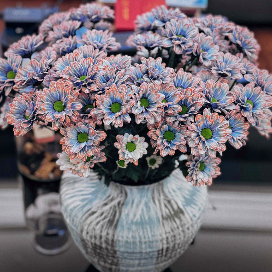 【鲑鱼油画紫小菊】会变色，花期长，好养，顺丰包邮