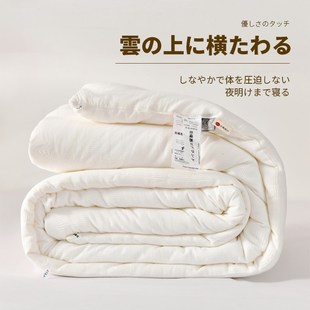 2022新款 A类全棉超柔纯棉大豆被子冬被春秋被