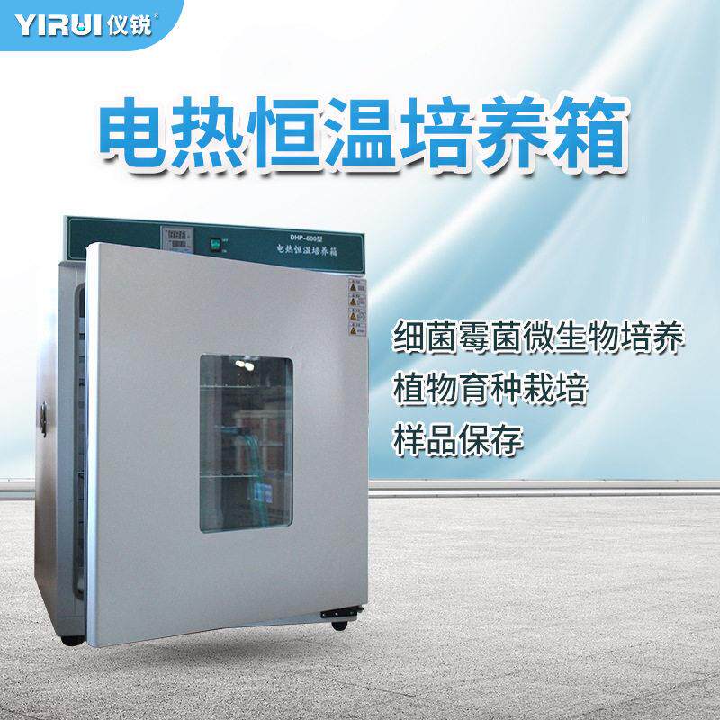 微生物培养箱泰斯特DHP500细菌不锈钢电热恒温箱DHP600仪锐