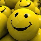 西安宝鸡咸阳铜川渭南延安榆林商洛汉中安康隐形防护防盗网栏窗猫