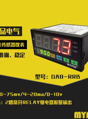 数显表 多功能数显表 DA8-RRB显示仪表 控制仪表 传感器仪表