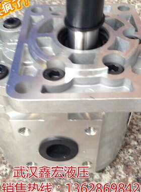 精品CB-E25/32/40/50-BFP    CB-E25/32/40/50-BFPL 齿轮油泵