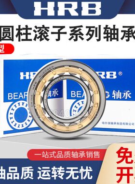 HRB哈尔滨轴承RN 203 204 205 206 207 208 209 219 222 228 M