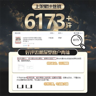 matlab代码帮做代编程仿真通信图像处理深度学习神经网络程序代编