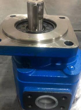 供应CBGJ2100-BIR齿轮泵多种规格