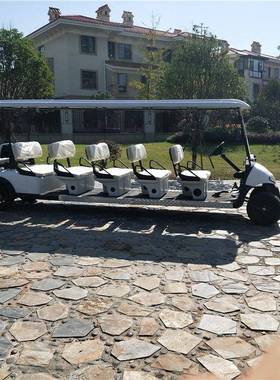 ClubCar先驱高尔夫球车款式无极变速汽油发动机00排量燃油观光车