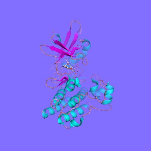 分子对接，docking，结合模式分析，自由能计算