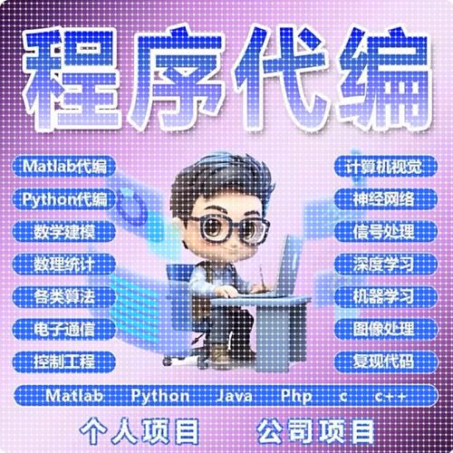 深度学习机器学习python代编程序代码问题解决指导编写代做