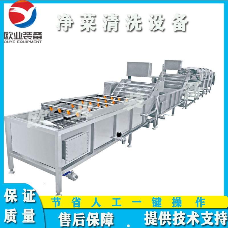 鲤鱼清洗机 毛豆清洗流水线 大型知了猴清洗机 预制菜加工设备