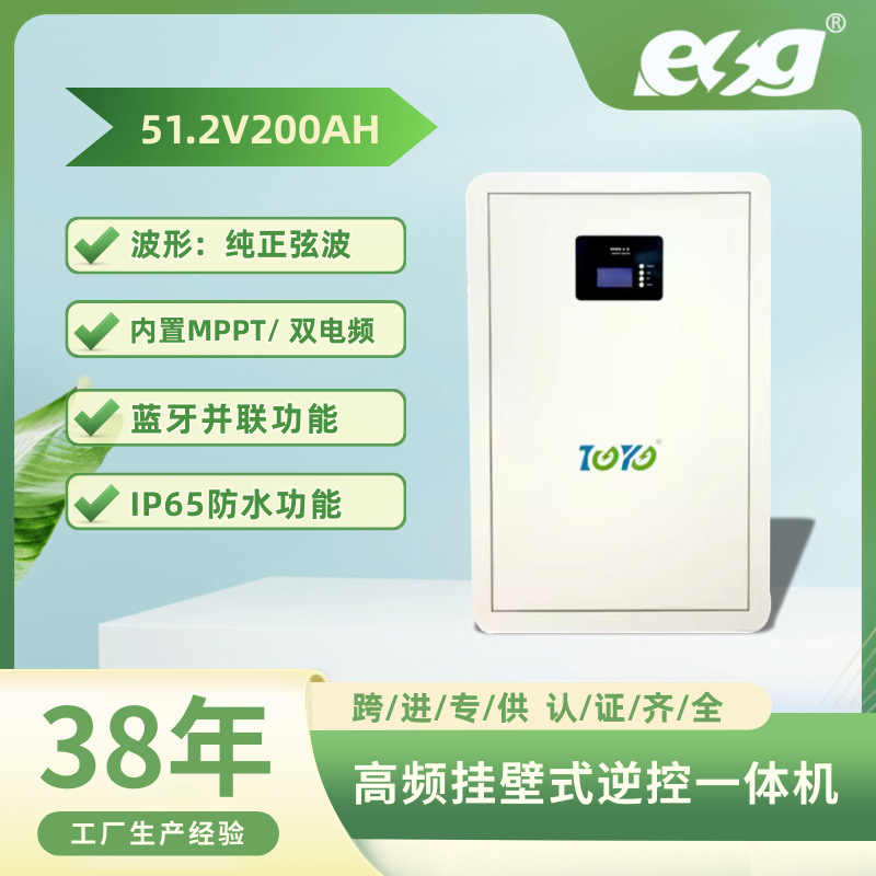 ESG 51.2V 锂离子电池 10KWH 51.2V 200Ah 壁挂式 LiFePO4 电池