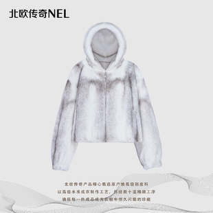 进口水貂2561 北欧传奇 盖盖专属