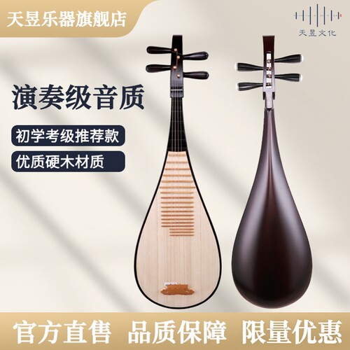 天昱琵琶民族乐器成人初学考级
