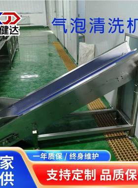 气泡清洗机商用果蔬清洗机高压喷淋鼓泡海鲜洗菜不锈钢清洗设备