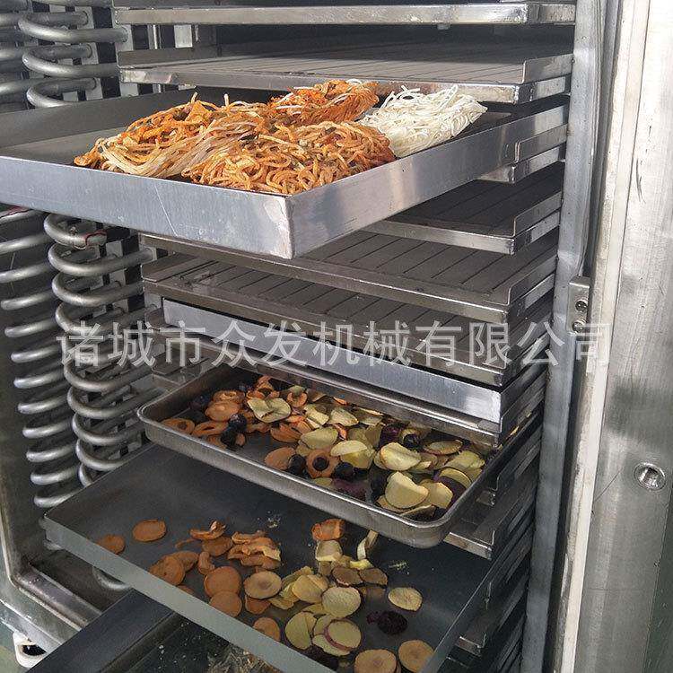 空心红枣脆冻干机食品真空冷冻干燥机苹果粉低温真空冻干机