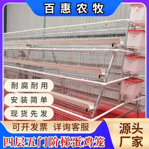 养殖场用阶梯式四层五门白槽蛋鸡笼设备热镀锌养鸡设备厂家直销售