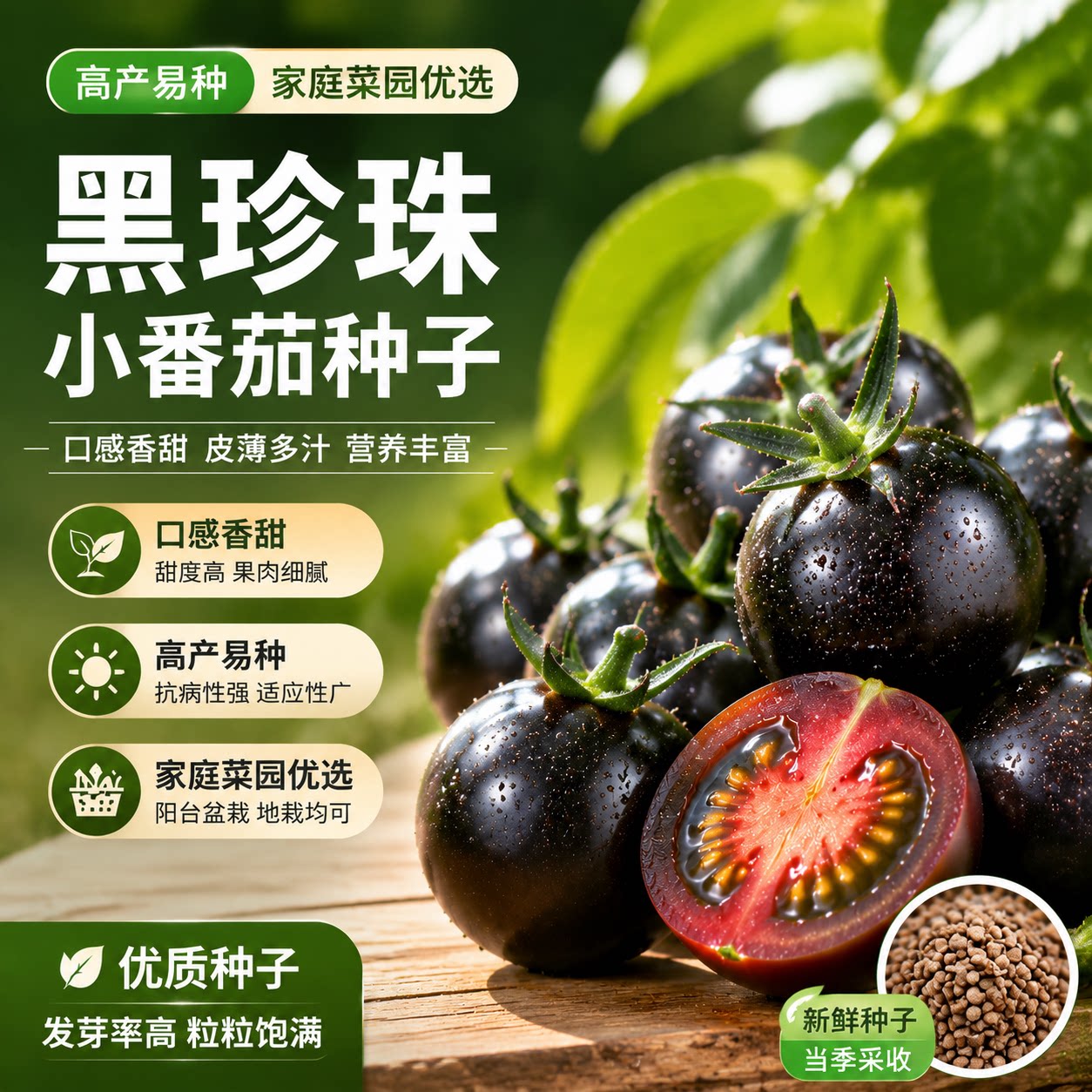 番茄种子黑珍珠小番茄种籽家庭阳台盆栽水果西红柿高产易种春