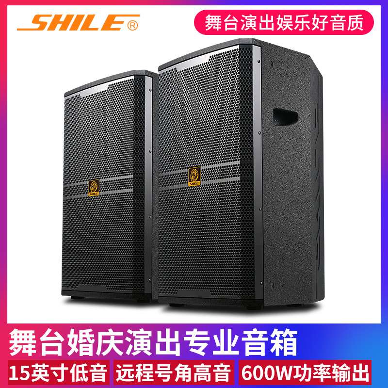 狮乐BM-15户外演出KTV大型会议室木制音箱15英寸专业舞台音响一对