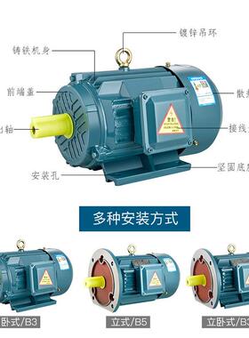 YX3 YE2 YE3-90S 90L 100L Y112M 132S 132M-2 4 6 国标铜线电机