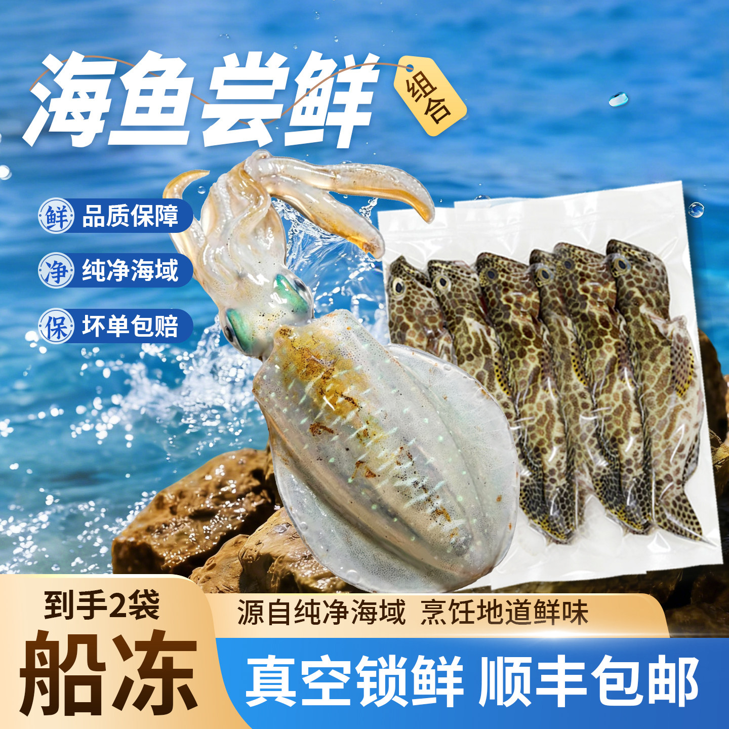 软丝鱿鱼蜂巢石斑鱼渔民手钓
