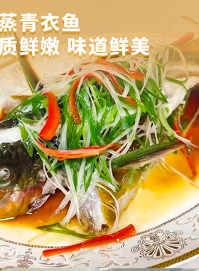 南海西沙鹦嘴鱼青衣鱼海鲜