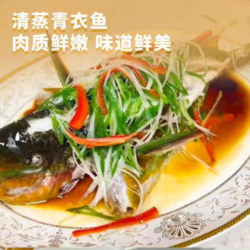 南海西沙鹦嘴鱼青衣鱼海鲜
