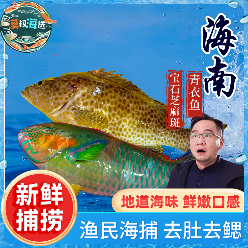 海南西沙青衣鱼芝麻斑深海海鱼