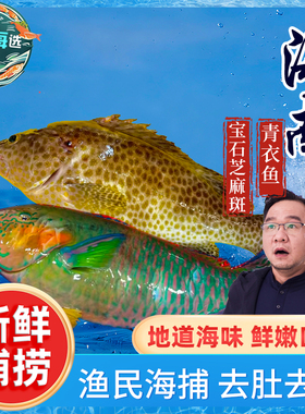 【漠叔专属】西沙群岛海捕海鱼鲜活速冻青衣鱼芝麻斑渔民手钓捕捞