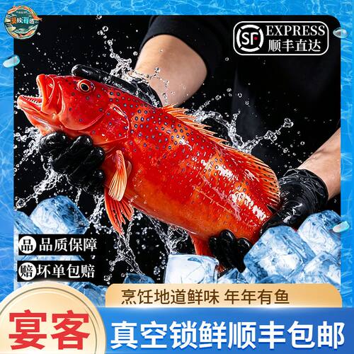 海南南海渔民海钓东星斑送礼
