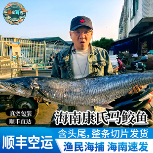 海南本港康氏马鲛鱼圆鲛渔民手捕马鲛鱼整条切片