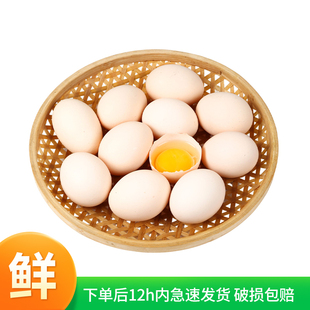 农冠山鸡蛋新鲜40g*50枚整箱土鸡蛋正宗农家散养鲜鸡蛋月子蛋