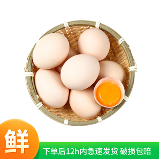 农冠山鸡蛋新鲜40g*20枚初生蛋营养早餐水煮蛋谷物鲜鸡蛋当天现捡