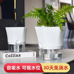 免浇水花盆自吸水懒人2021新款绿萝月季加仑盆塑料阳台兰花多肉盆