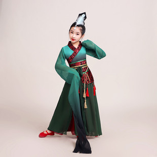 仙女汉服中国风民族舞蹈古典舞演出服装 水袖 舞蹈服惊鸿舞孙科古装