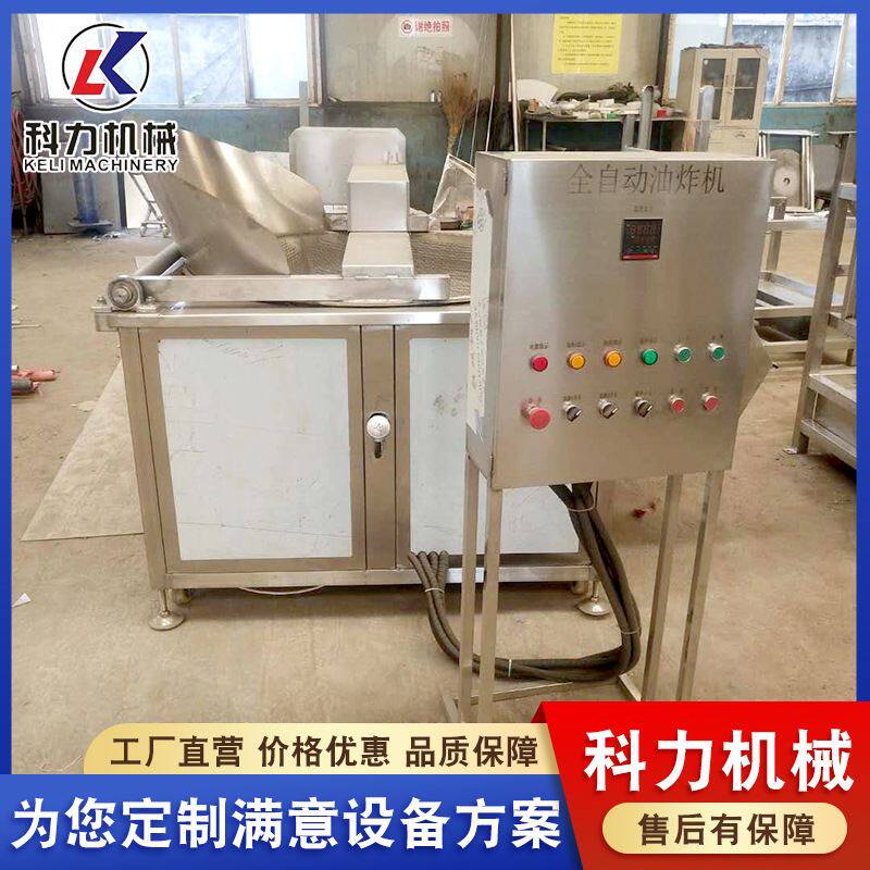 小型油炸机 电加热自动进料自动出料油炸锅 薯条炸鸡麻花油炸机