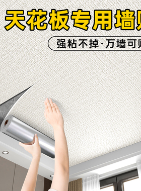 天花板贴纸自粘屋顶吊顶装饰遮丑自装墙纸房顶棚顶隔音客厅墙贴纸