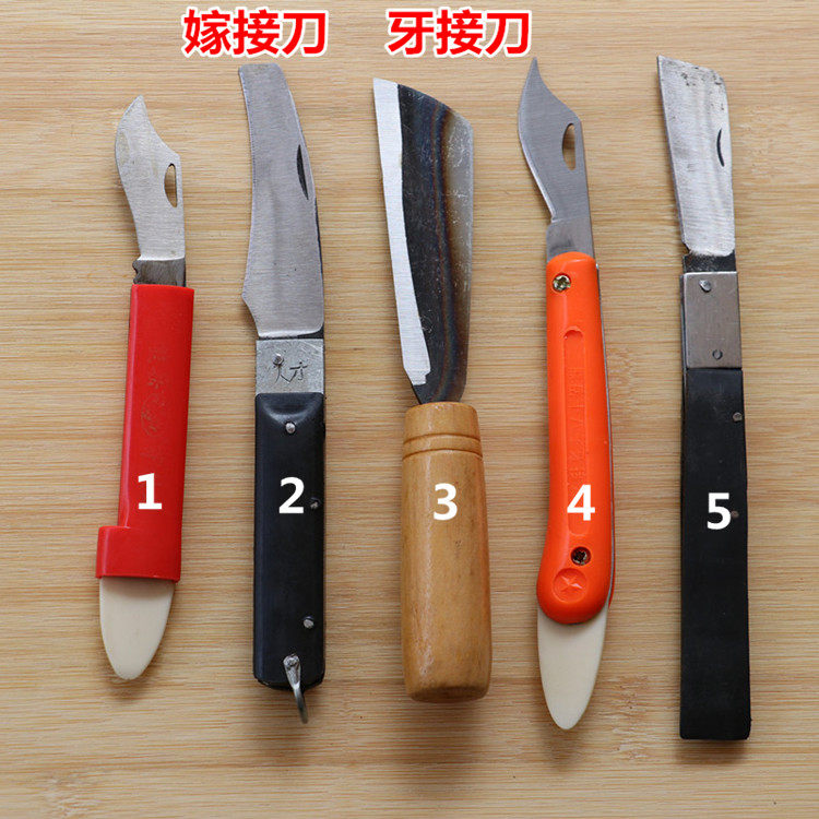 果树嫁接刀 苗木芽接刀子DIY花卉苗木嫁接果树剪园林绿植园艺工具