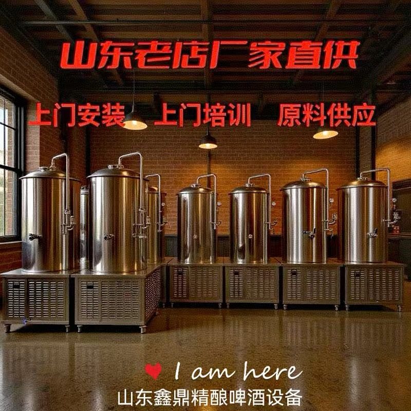 500L精酿啤酒设备啤酒机鲜啤设备发酵罐糖化罐自酿啤酒机,清洗/食品/商业设备,酿酒设备,淘宝优惠券,粉丝福利购,淘宝优惠卷