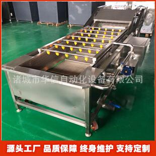 全自动海带脱盐清洗机器裙带菜海白菜清洗机械海藻气泡冲洗机