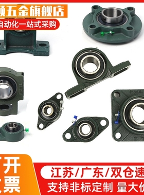 外球面带座轴承座BRTE BRTF 12 15 17 20 25 30 35 40 45 50铸铁