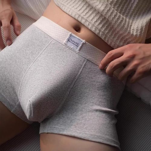 【下单立减50】男士内裤纯色棉质中腰男大码透气男士平角裤XJ