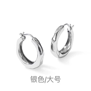 【下单立减50】日韩流光小耳环轻奢耳环银色耳坠小众耳圈_WF