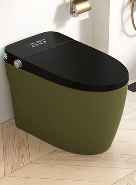 复古绿色彩色智能马桶一体式全自动无水压限制内置泡沫盾坐便器【