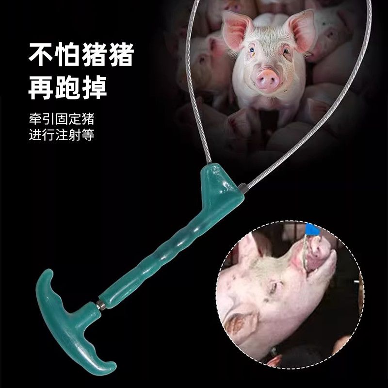 套猪神器场猪用保定优质猪器大小利器套子钢丝绳兽用打针猪拉猪神