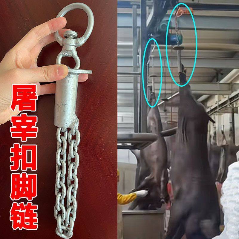 猪链屠宰场配件H吊猪神器扣脚链神器屠宰设备吊猪链扣脚链铁环吊H,畜牧/养殖物资,畜牧/养殖器械,淘宝优惠券,粉丝福利购,淘宝优惠卷