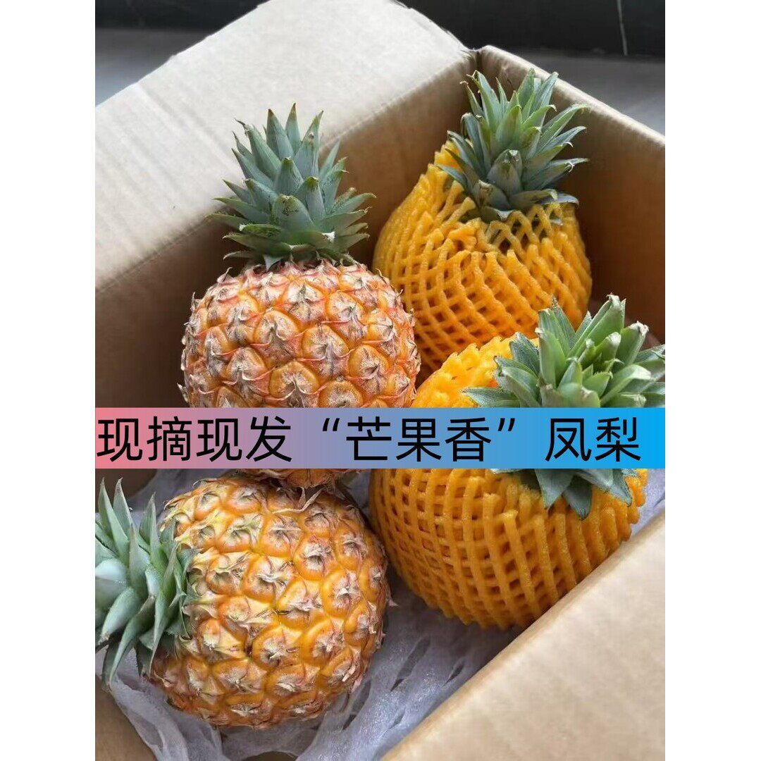 纯甜海南当季芒果凤梨新鲜水果台农23号金芒凤梨当季现摘包邮