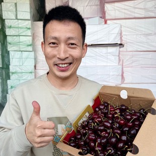 顺丰京东智利进口海运车厘子新鲜水果樱桃装当季J内附果径卡
