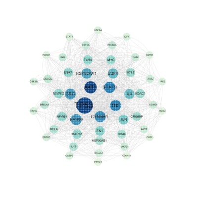venn图，PPI蛋白质互作网络，kegg富集分析都可以做